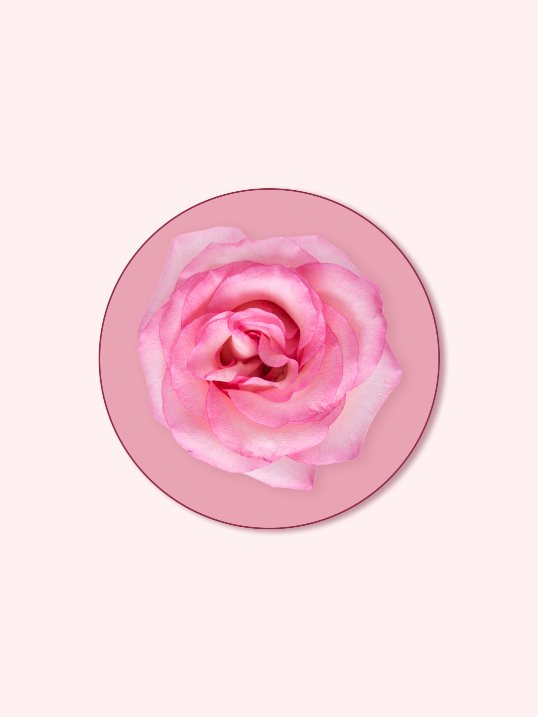 Rose Placenta