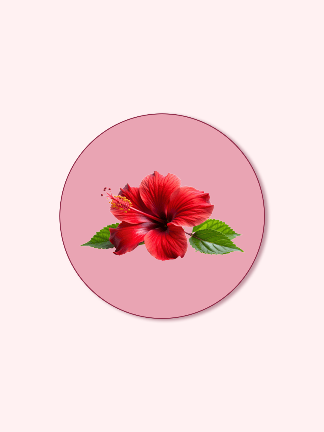 RAWGA Hibiscus Collagen Peptide