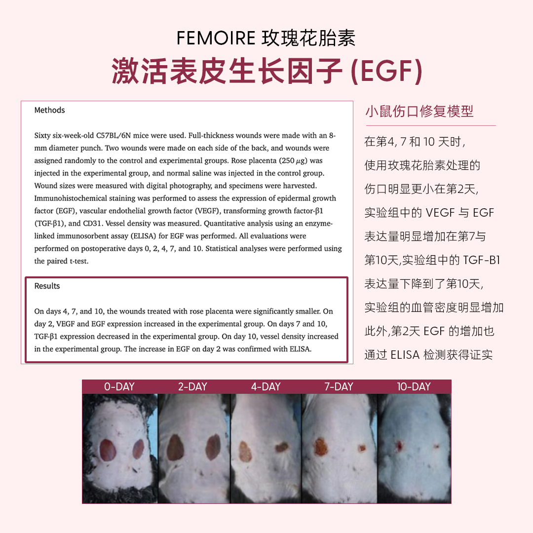 EGF科研实证