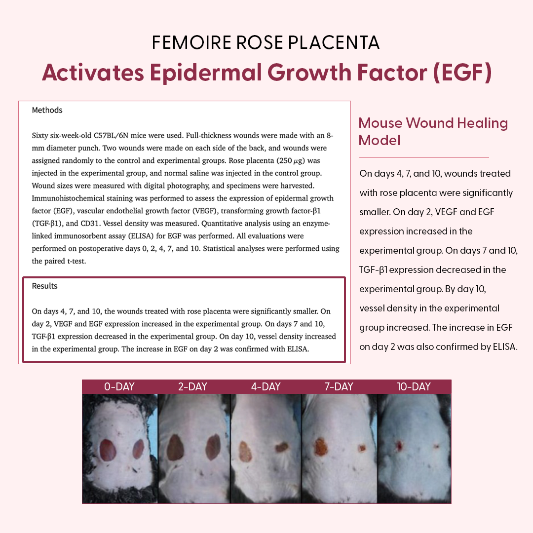 EGF Research Evidence